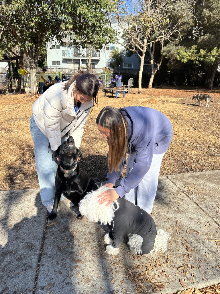 Berkeley Project Day 7