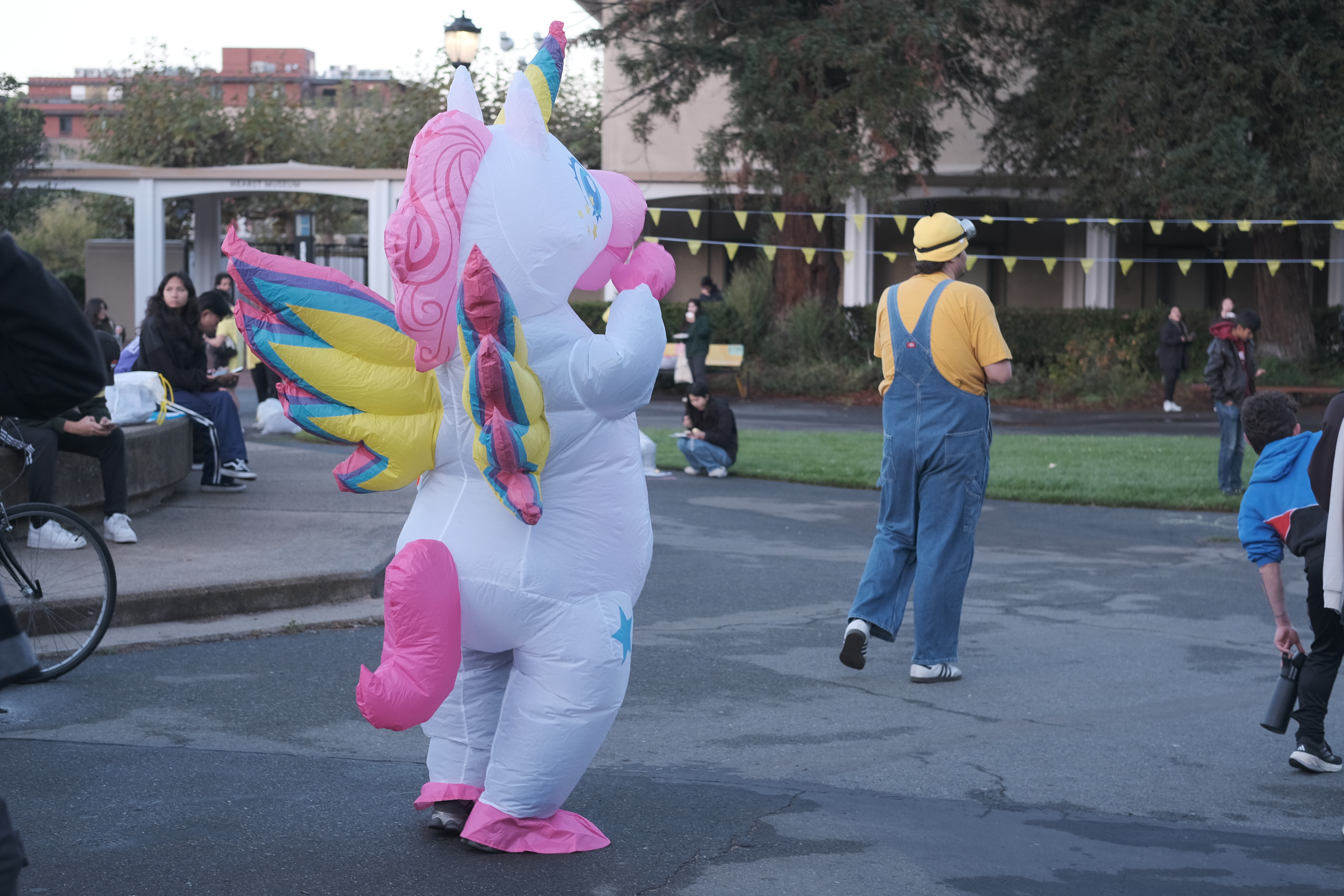 Berkeley Project Day 4